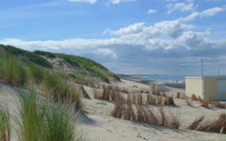 Duinen van Callantsoog