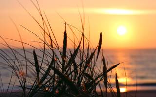 Zonsondergang bij je vakantiehuis in Callantsoog