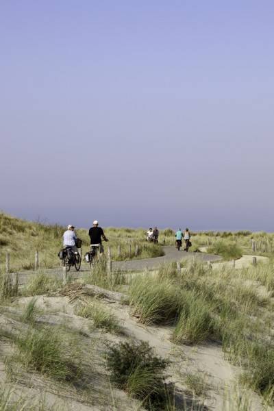 fietsen duinen natuur callantsoog