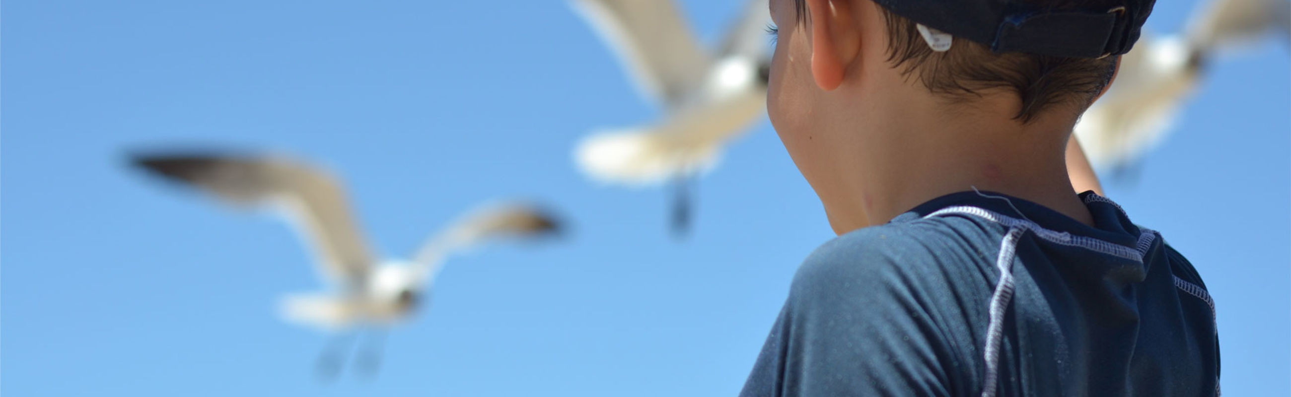 Meeuwen en kind op het strand