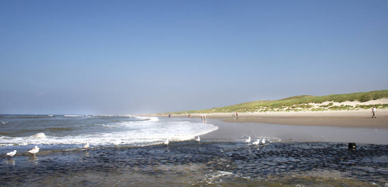 Strand van Sint Maartenszee