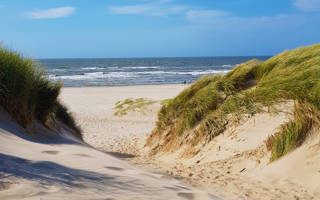 Starndopgang natuurlijk duinen en helmgras 